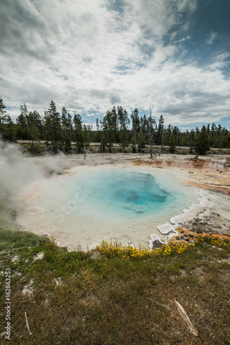 Volcanic Hot Spring on Fountain Paint Pot Nature Trail with Hot Blue Water and Wildflowers in Yellowstone National Park