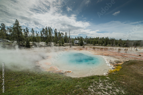 Volcanic Hot Spring on Fountain Paint Pot Nature Trail with Hot Blue Water and Wildflowers in Yellowstone National Park