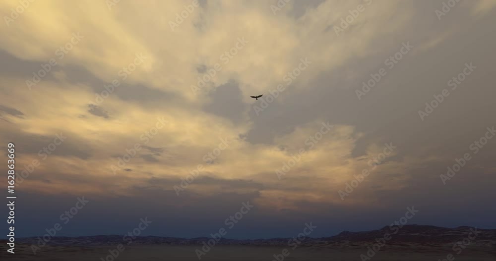 4k Eagle hovering in the wilderness at dusk.