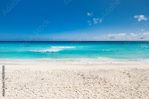 Caribbean sea coastline