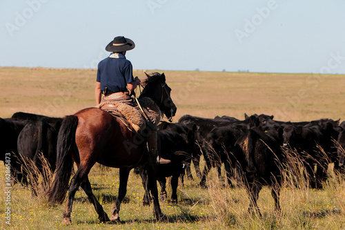Konstfotografi Fazenda de gado