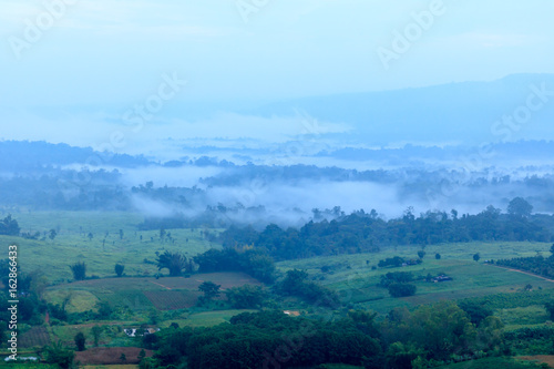 Fototapeta Naklejka Na Ścianę i Meble -  Morning fog in the mountains