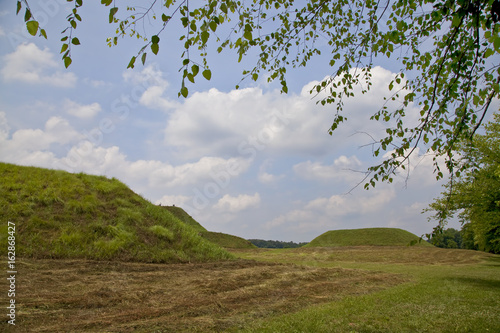 Etowah Indian Mounds State Park, GA photo