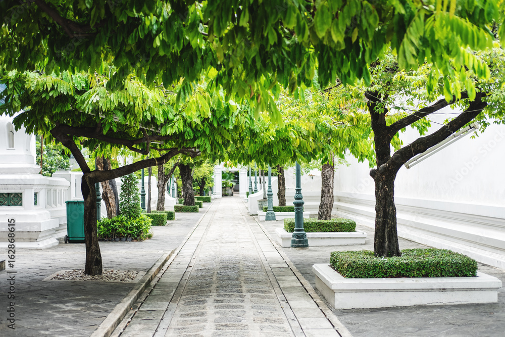Εκτύπωση καμβά Concrete stone footpath with trees umbrage