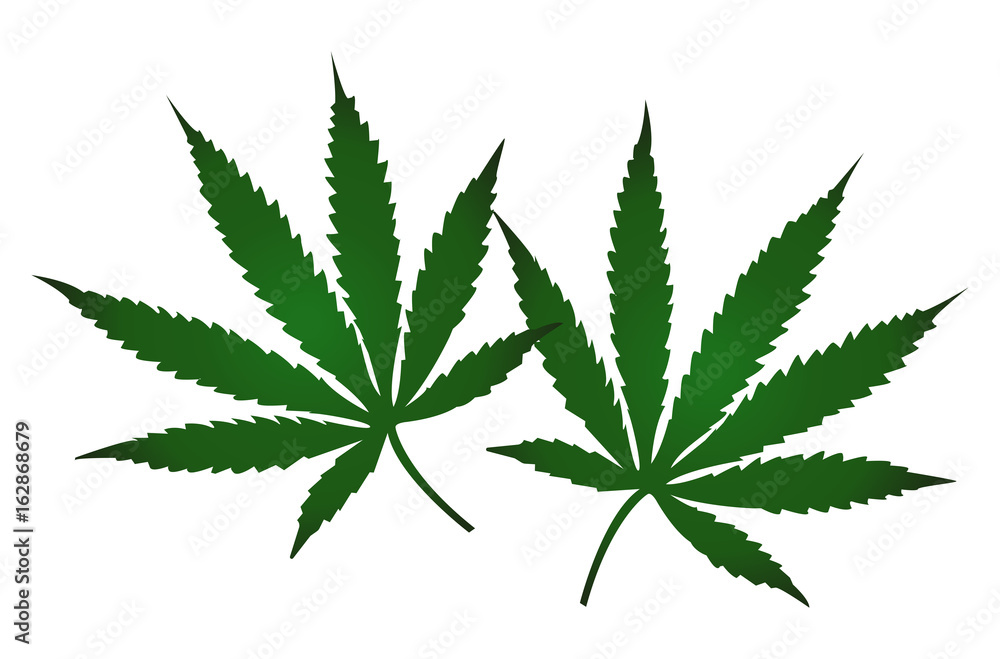 Cannabies leaf Cannabies leaf