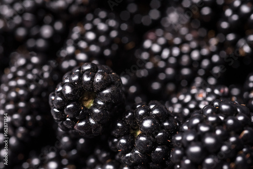Blackberries juicy wild fruit raw food on background