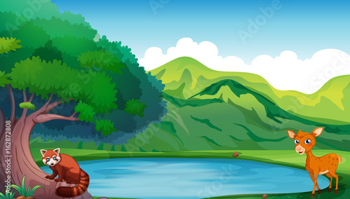 Scene with deer and red panda by the pond