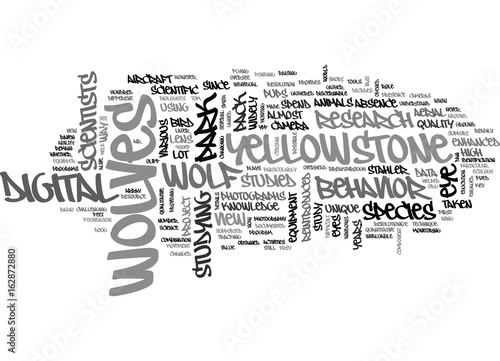 A BIRD S EYE VIEW OF WOLVES TEXT WORD CLOUD CONCEPT