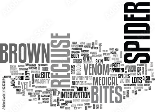 A BITE FROM A BROWN RECLUSE SPIDER TEXT WORD CLOUD CONCEPT