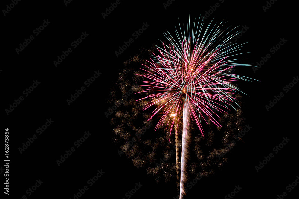 Pink and Green Fireworks