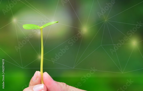 human hand with small nature plant green polygon line background