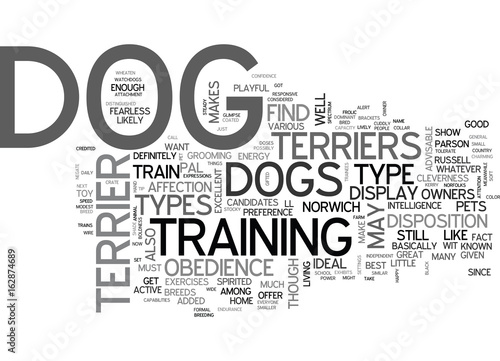 A GLIMPSE ON THE VARIOUS TYPES OF TERRIER DOGS TEXT WORD CLOUD CONCEPT