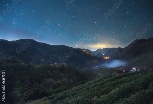 Quadro em tela Nightscape at Tea plantation in the Doi Ang Khang, Chiang Mai, Thailand