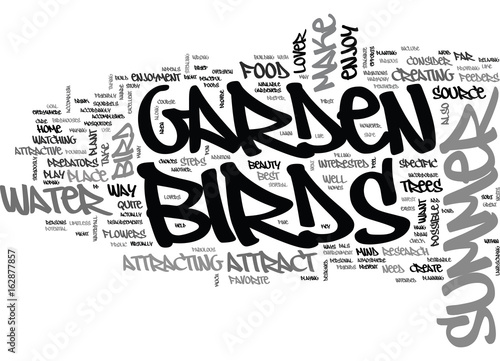 A SUMMER GARDEN FOR THE BIRDS TEXT WORD CLOUD CONCEPT