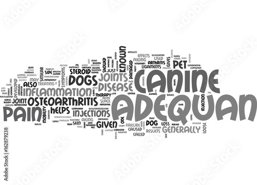 ADEQUAN IS NOT JUST PAINKILLER IT S A THERAPY TEXT WORD CLOUD CONCEPT