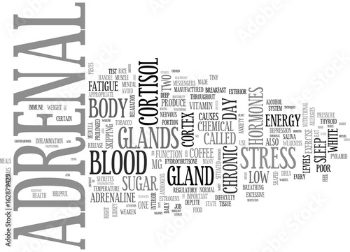 ADRENAL FATIGUE TEXT WORD CLOUD CONCEPT
