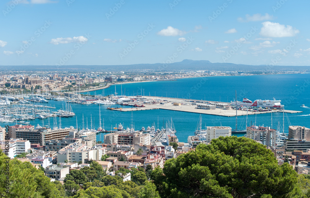 Fototapeta premium The port in Palma de Mallorca