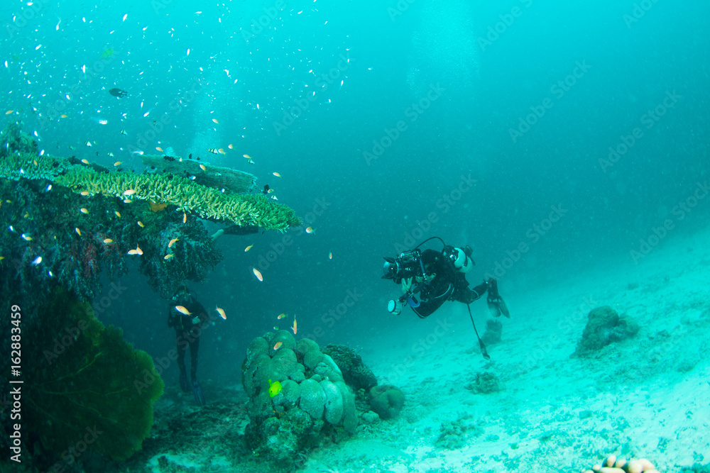 Obraz premium Wonderful and beautiful underwater world with corals, fish and scuba diver