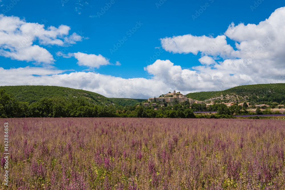 Vue sur le village de Banon en Provence, France. Champ de sauge sclarée au premier plan. Vue sur le village de Banon en Provence, France. Champ de sauge sclarée au premier plan.