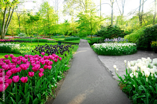 Fototapeta Naklejka Na Ścianę i Meble -  Beautiful spring landscape with green lawn and flowers