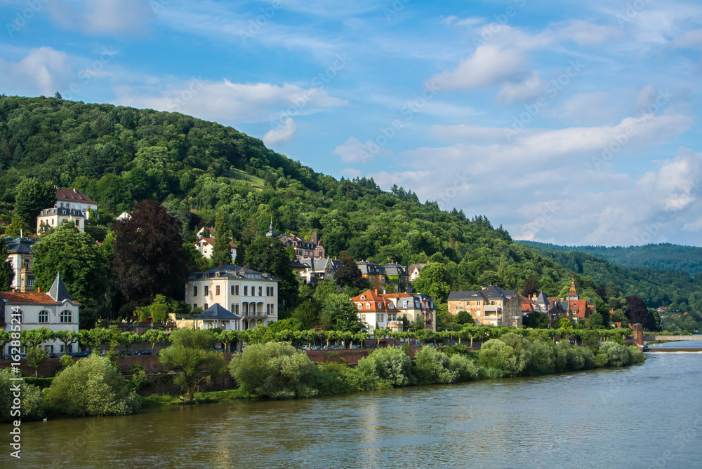 Plenty of residential houses at the hillside at the embankment of Neckar river at the center of Heidelberg, an aerial panoramic view over the roofs, Baden-Württemberg, Germany.