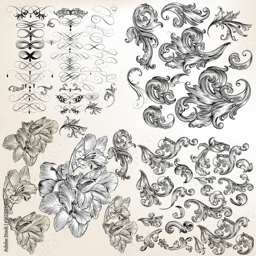 Huge set of vector flourishes, swirls and hand drawn flowers