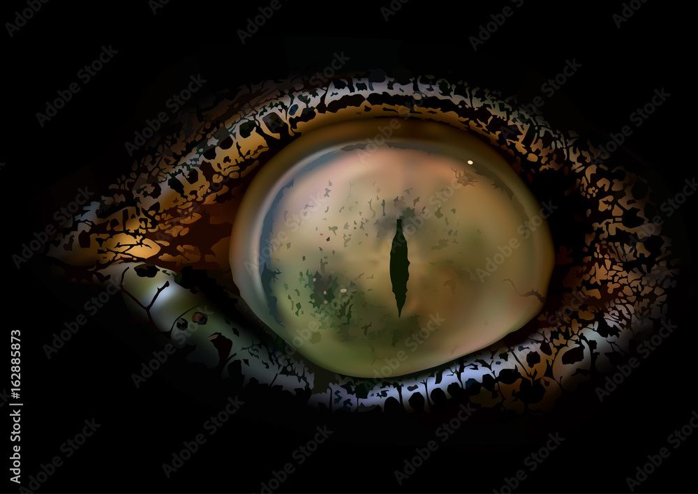 Fototapeta premium Krokodyl oko makro - szczegółowe i realistyczne ilustracja na czarnym tle, wektor