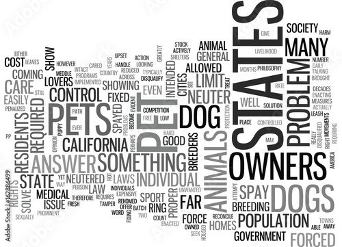 ANIMAL CHIROPRACTOR TEXT WORD CLOUD CONCEPT