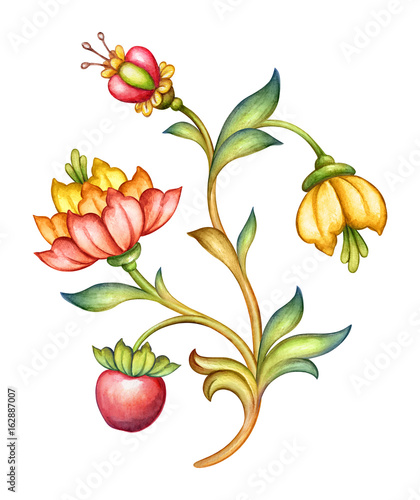 watercolor illustration, red tulip flower, green leaves, apple fruit, antique design element, medieval floral ornament, vintage pattern, clip art isolated on white background photo