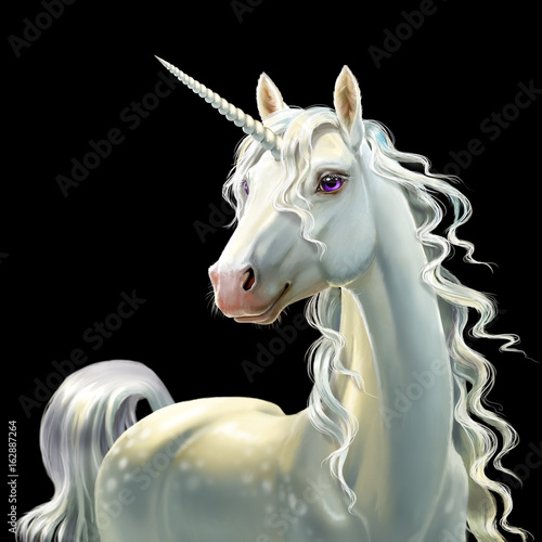 Fototapeta Naklejka Na Ścianę i Meble -  Unicorn, isolated on black