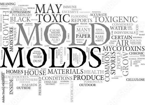 ARE BLACK MOLDS TOXIC TEXT WORD CLOUD CONCEPT
