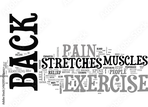 BACK EXERCISE STRETCHES FOR BACK PAIN TEXT WORD CLOUD CONCEPT