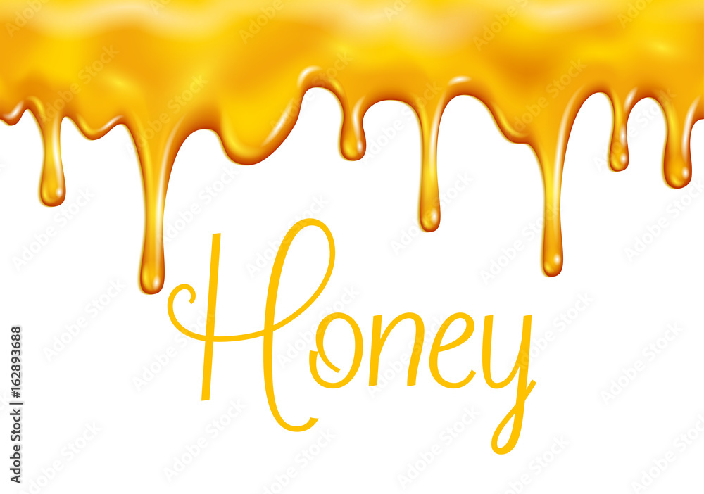 Vector sweet honey dripping for bakery shop Vector sweet honey dripping for bakery shop