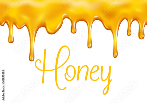Vector sweet honey dripping for bakery shop
