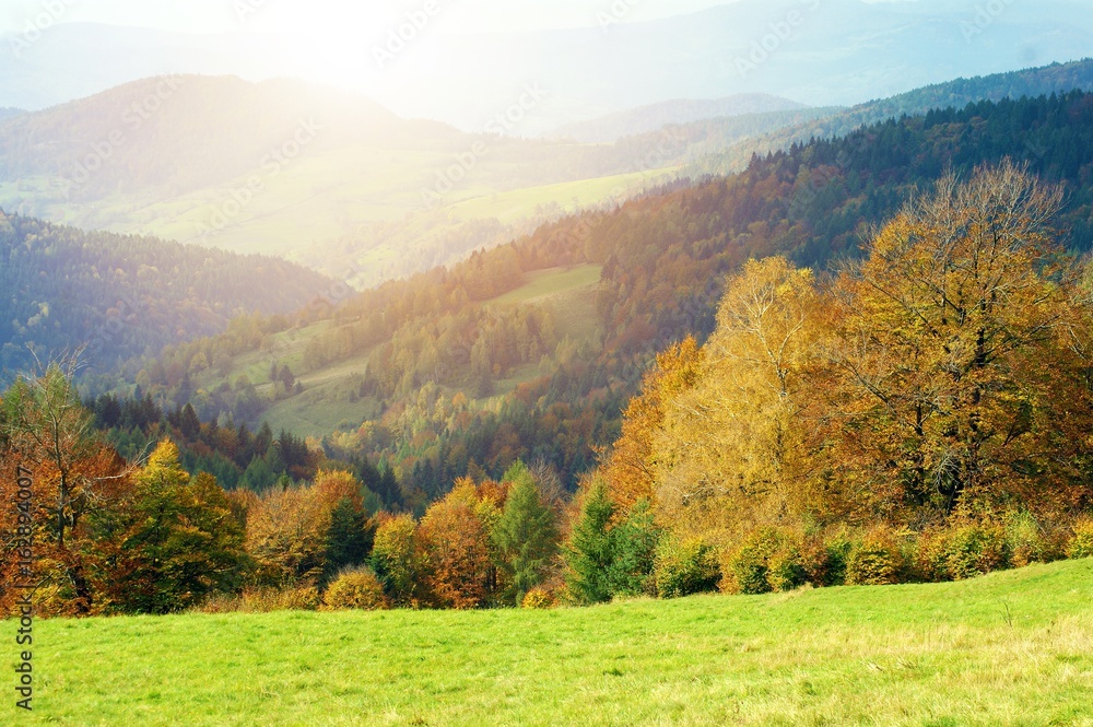 Scenic Colorful Fall Landscape Scenic Colorful Fall Landscape