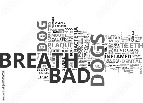 BAD BREATH DOG TEXT WORD CLOUD CONCEPT