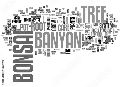 BANYAN BONSAI TEXT WORD CLOUD CONCEPT