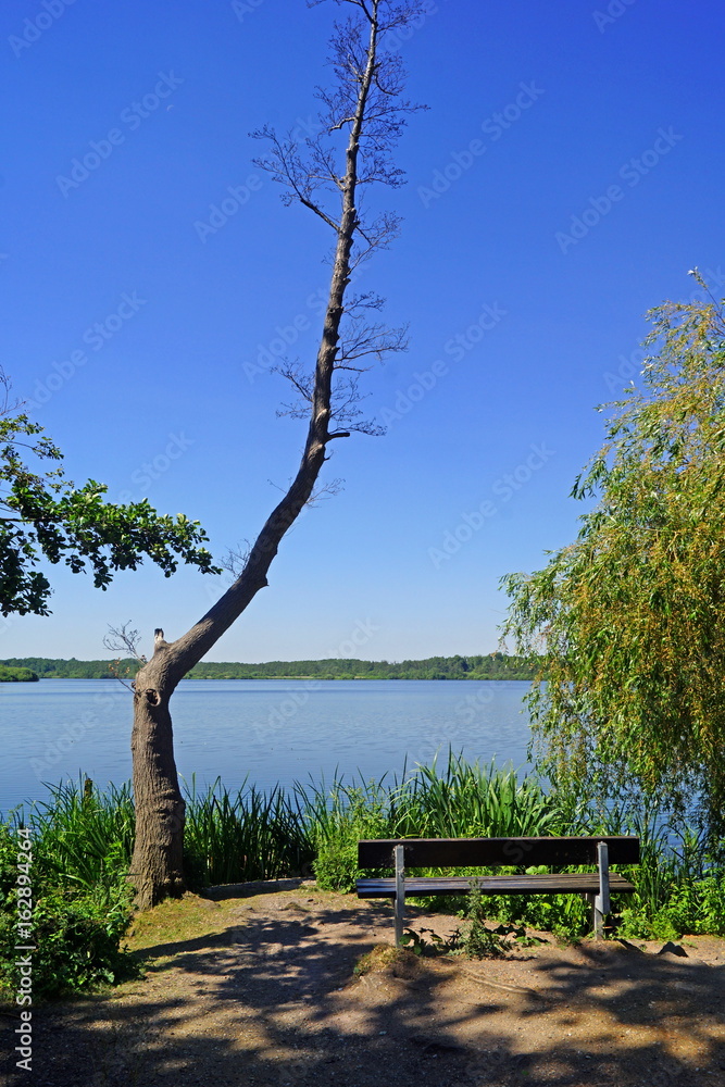 Krickenbecker See ( Naturpark Schwalm-Nette - Niederrhein )