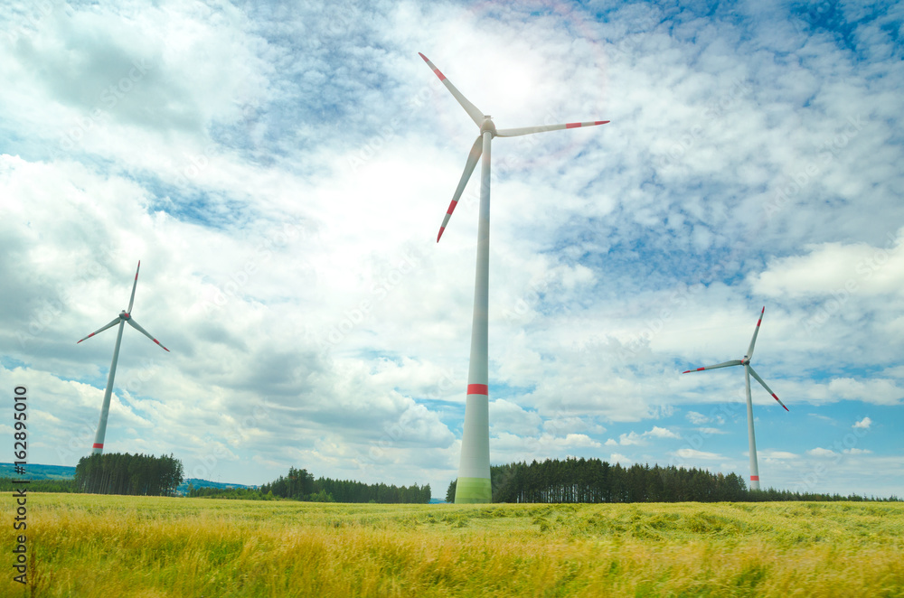 Fototapeta premium windmills
