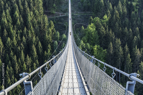 geierlay, view to a large suspension bridge photo