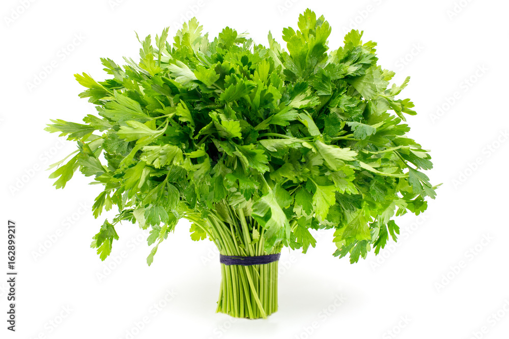 Bouquet of parsley isolated - obrazy, fototapety, plakaty 