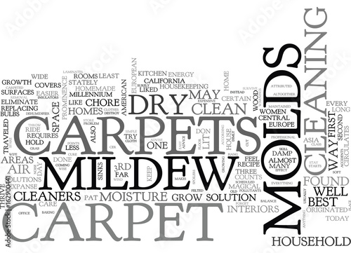 BEST CARPET CLEANERS ADVICE KEEP DRY BID MOLDS GOODBYE TEXT WORD CLOUD CONCEPT