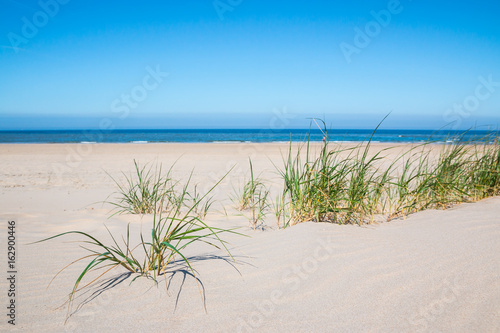 dünenlandschaft strand © GChristo