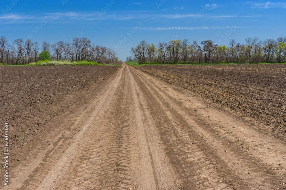 Spring landscape with an earth road between agricultural fields in central Ukraine