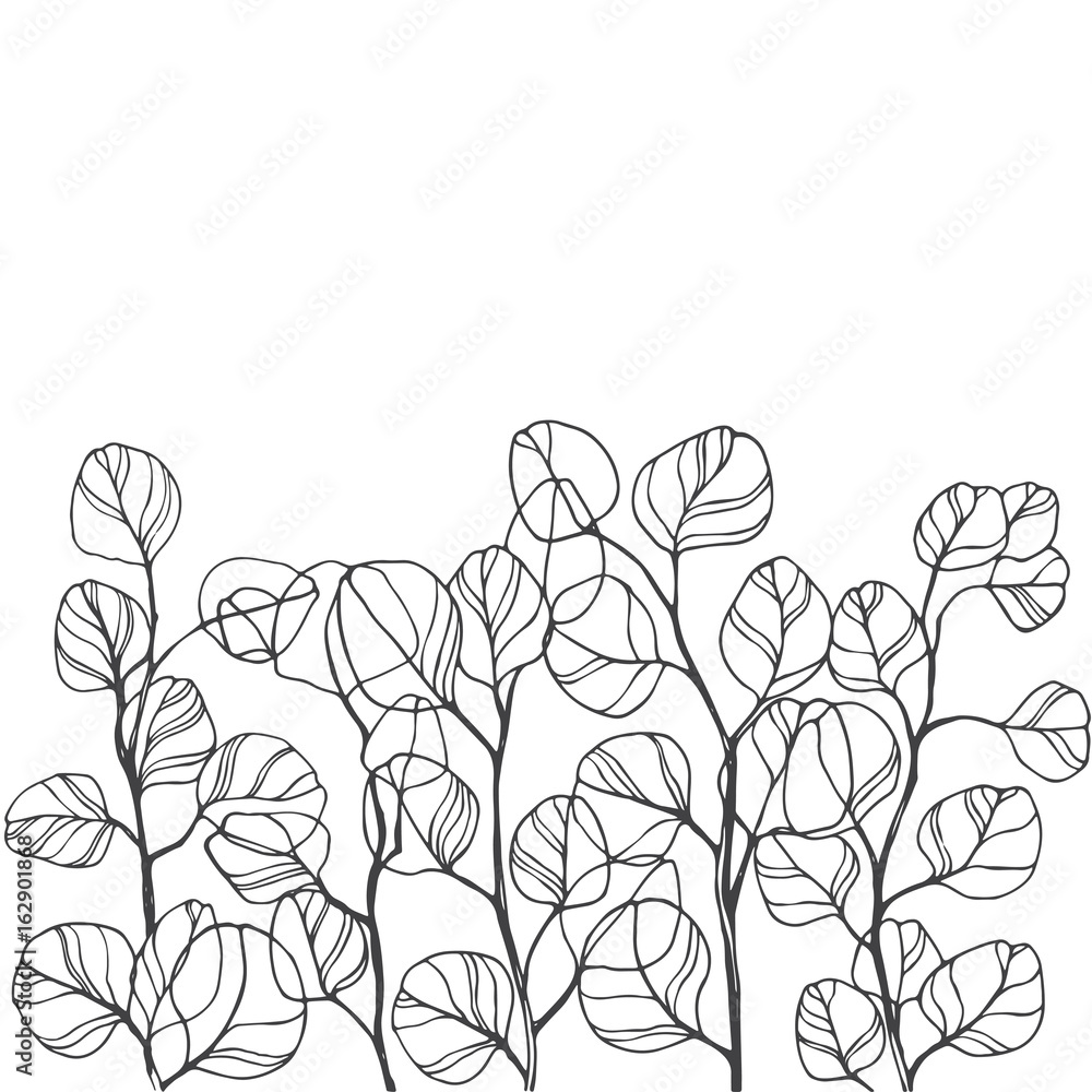 Floral background with hand-drawn branches of silver eucalyptus. Vector illustration with  place for text on white background. Invitation, greeting card or an element for your design.