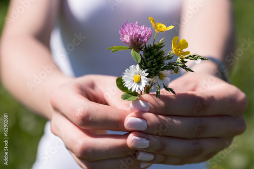 Female hands holding a small bouquet of little wild flowers