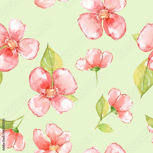 Floral seamless pattern. Watercolor background with red flowers 16