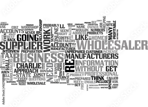 WHAT ARE BLOGS AND HOW DO YOU PROFIT FROM THEM TEXT WORD CLOUD CONCEPT