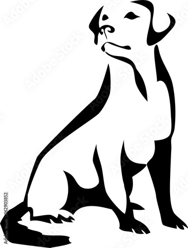 labrador retriever sitting