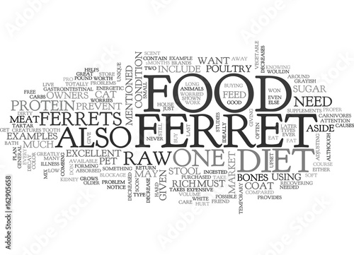 WHAT DO FERRETS EAT TEXT WORD CLOUD CONCEPT